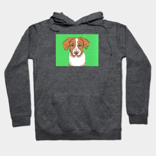 Sweet Brittany Puppy Hoodie